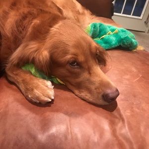 Meet your Posher, Jackie